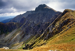 77_nizketatry___severdumbiera