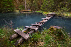 3df363550b69ad8e45a6769f158dc9ff297e4531