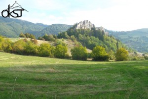DSCF9073