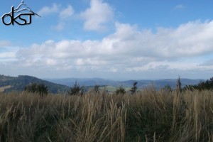 DSCF9098